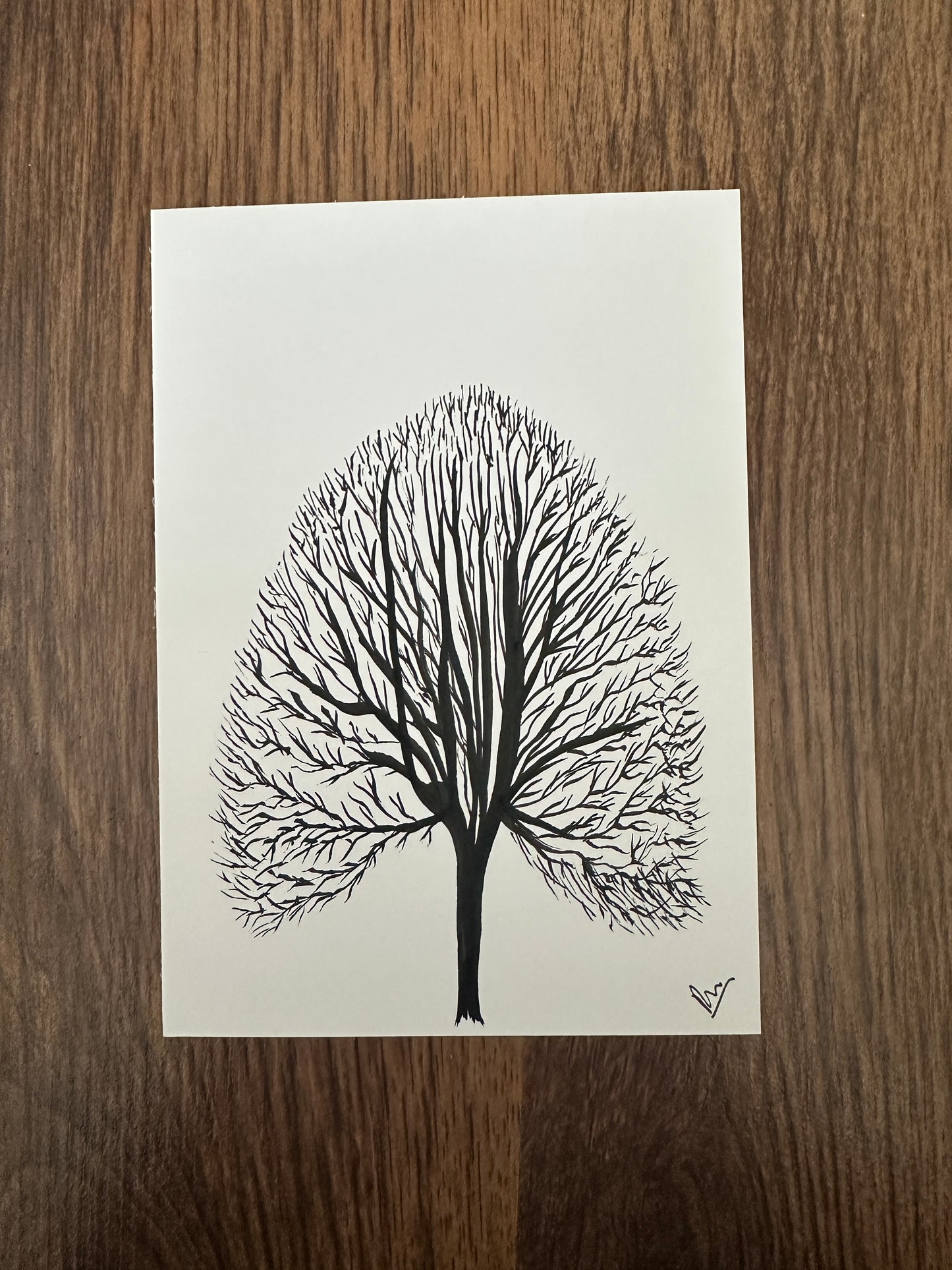 A Tree In Lavenham - Hand Drawn With Black Ink On Card