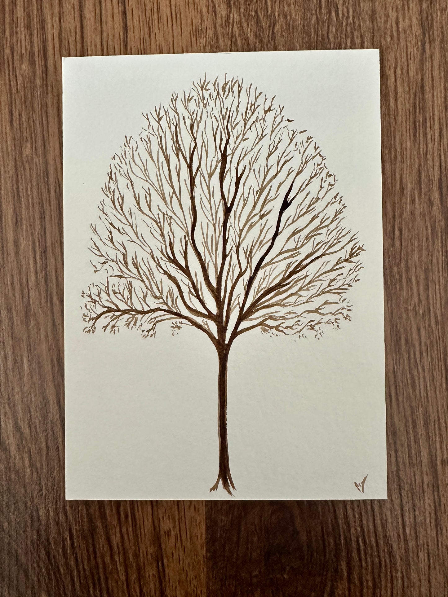 A Tree From Lavenham - Walnut Ink Painted Postcard