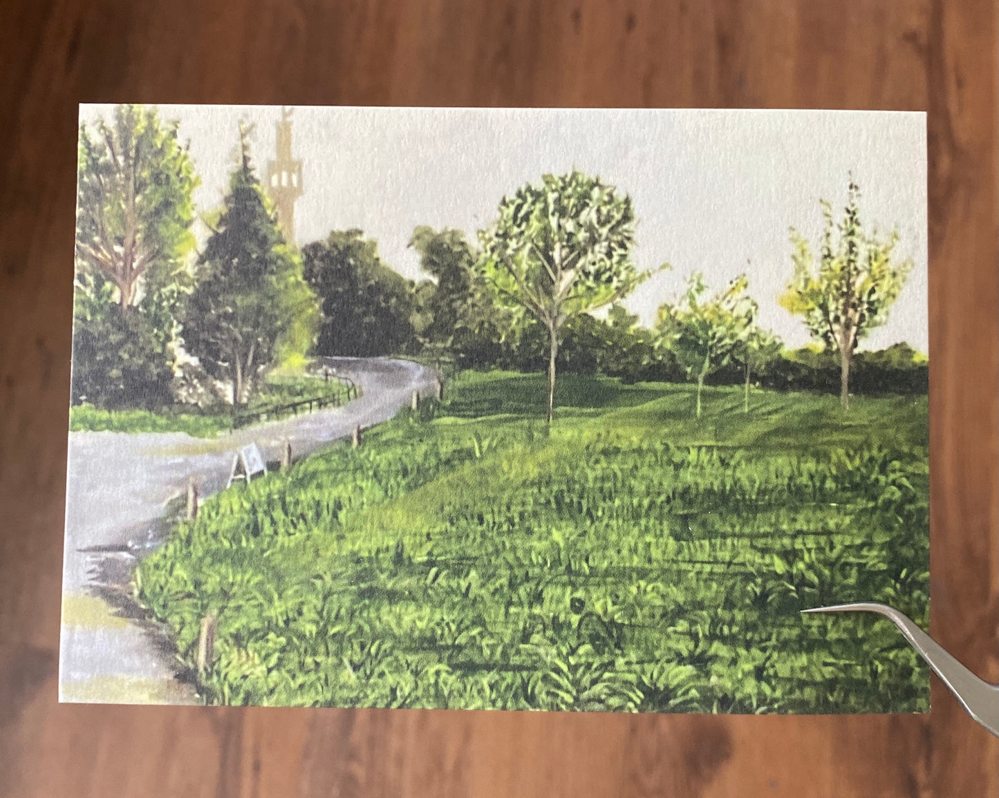 London Park Series - The Regents Park  Four Postcard Prints